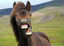 HORES Discord emoji