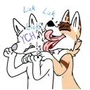 lick