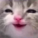 catsmile catsmile