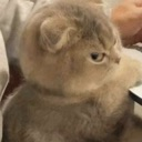 emoji_4 custom emote | NV