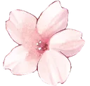 flower_pinks