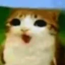 meowl_1 meowl_1