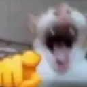 lmaooxd