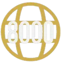Level_8000 Discord emoji