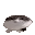 wawa