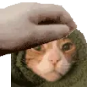 patcat