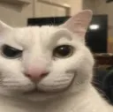 huh huh