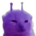 Glorpstey