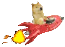 DogeRocket
