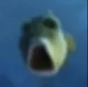 Fish_What