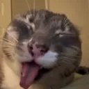 EEEHH