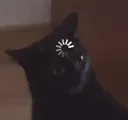 wotcat