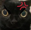 cetangy