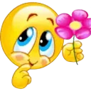 flower_tehe flower_tehe