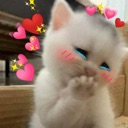 Couple Discord sticker | Apricity™ 😻 | Egirl •  Dating • Social • Chat • Chill • Vc