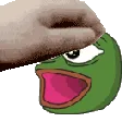 pet