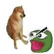 bonkdoge