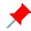 pin
