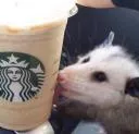 MondayMornings