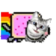 kualijNyan