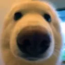 ad_boop
