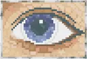 oculus