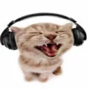 catmeeow