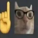 Cat_claro_DC