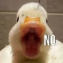 NO