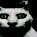 cat_stare Discord sticker from Azure_Phantom