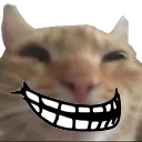 trollcat