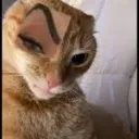 sideeye