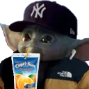 Capri_Yoda Capri_Yoda