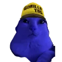 ReginaldFrank