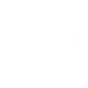 qt2