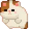 KittyRoll