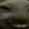 GoofyCatto