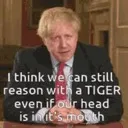 Borisfacts