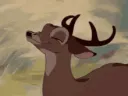 deeryes