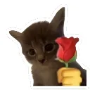 emoji_7