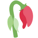 wilted_rose