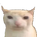 michael