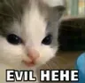 evilhehe