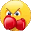 joepunch