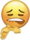 joesheesh
