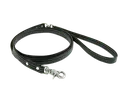leash