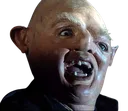 heyyouguys