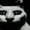 Stare