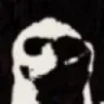 voidog