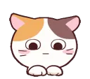 U_cute